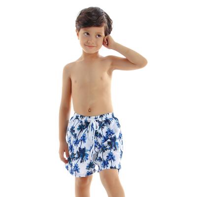 China Summer Coconut Printing Kid Beach Breathable Quick Dry Suit Pants Boys Kids 4 Way Stretch Swim Shorts for sale