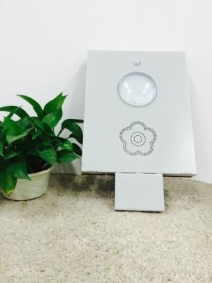 Cina luci principali solari di energia solare si accende/Ip65 del giardino 12w per il giardino in vendita