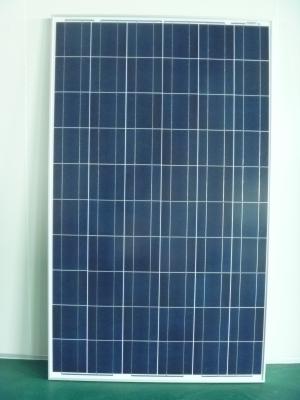 China Home Built 260 Watt Poly Solar Panels , Rugged Solar Panels Polycrystalline for sale