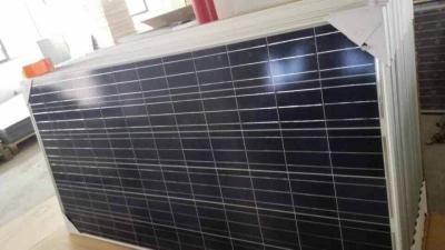 China Los paneles solares de ODMCheapest polivinílicos/el panel solar de la energía del verde para la bomba en venta