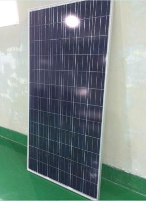 China High Efficiency 1956 x 992 Polycrystalline Solar Panels 305 W With Aluminum Frame for sale