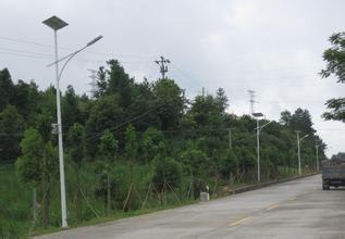 China Super Lighting 60 Watt Solar Powered Street Lighting With 8 Meters Height for sale