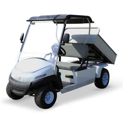 China golf cart with bed and 2 passenger utility vehicle 770lbs for sale