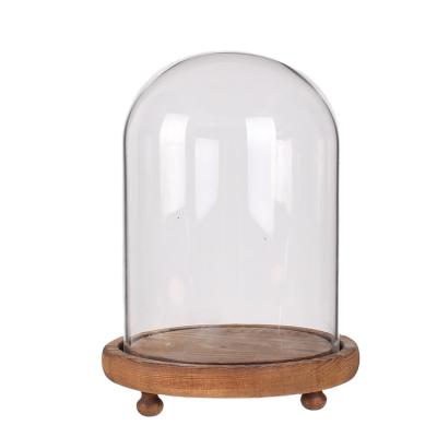 China Europe flower dome glass bell wooden casewith glass bell display base cover D12H16cm / 4.7