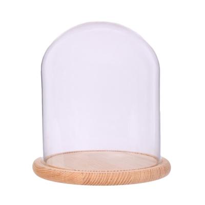 China Europe Dome Glass Cloche Cloche with Flower Cover Wooden Base Showcase D15H18cm/5.9