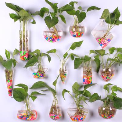 China Home Decor Plant Vases Container Flower Hydroponic Planter Mini Glass Vase Greenhouse Art Decor Hanging Glass Wall for sale