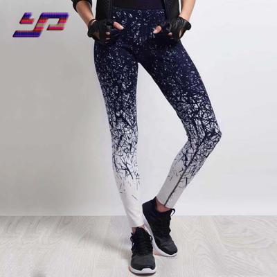 China Breathable Wholesale Sport Gym Custom Design Women Yoga Pants for sale