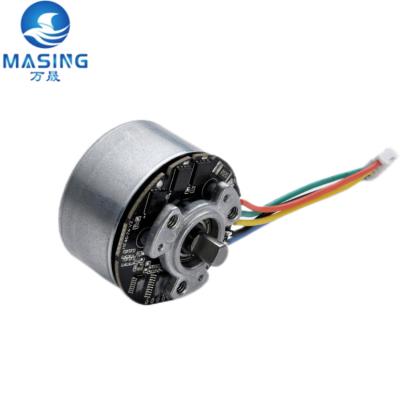 China 12v 6000rpm borstelloze DC Outrunner motor 3 fase hoog koppel 24V DC borstelloze motor Te koop