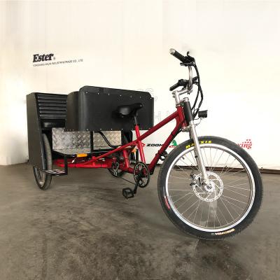 China Passenger Ester Pedicab Electric Sale, 5 Seat Pedicab Family Pedicab Rickshaw for sale