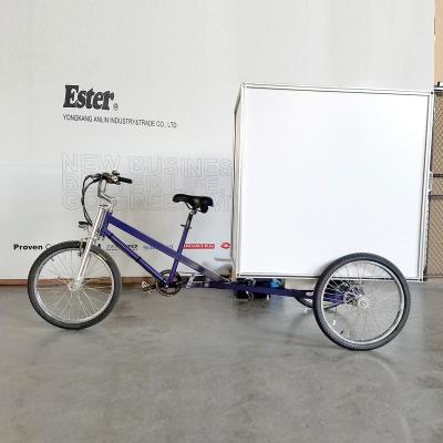 China 500W ESTER Electric New Style Cargo Delivery Tricycle China Manufacturer, 3 Wheel Electric Bicycle for sale