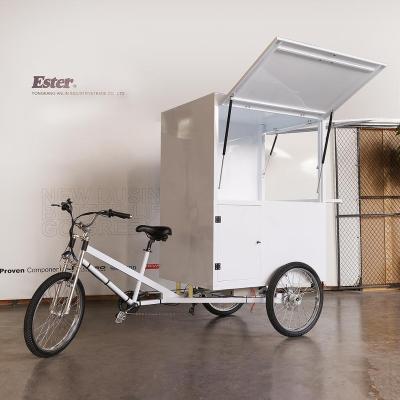 China Cargo ESTER 500W Rear Motor Electric Coffee Trike High Quality, cargo trike enclosed for sale