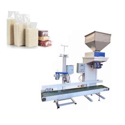 China Stanless Steel Flour Agent Biomass Pellet Packing Machine for Rice and Grain Weighing for sale