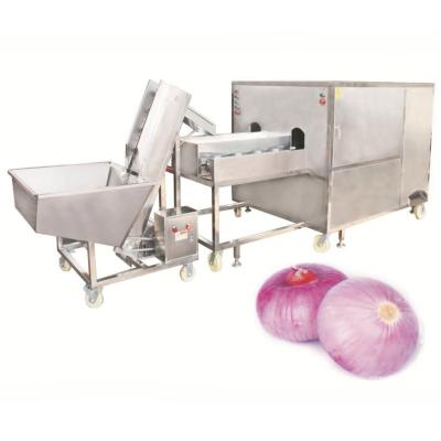 China High Productivity Dry Onion Peel Mechanical Equipment for Commercial Usage and 286 KG for sale