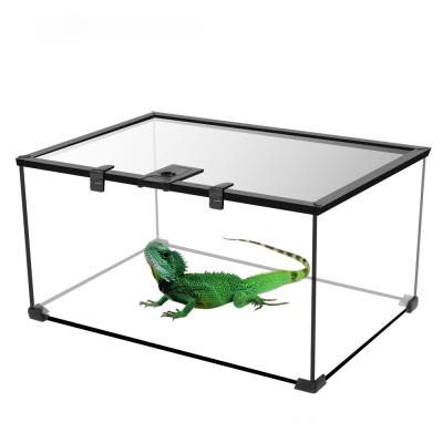 China Amazon Lizard Snake Turtle Reptile Glass Breathable Popular Multifunctional Unbreakable Container for sale