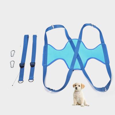 China Newest Sturdy Best Selling Amazon Nail Trimming Dog Hammock Sturdy Set Viable for sale