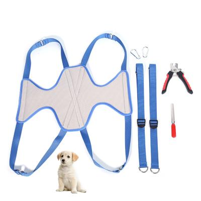 China Newest Sustainable Wholesale Waterproof Comfortable Breathable Dog Grooming Hammock for sale