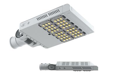 중국 100W 옥외 지도한 거리 조명은 각 조정가능한 알루미늄 몸을 분명히합니다 판매용