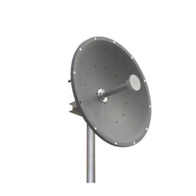 China 4g Lte Satellite Antenna Mimo Outdoor Antenna Satellite Dish Dual Omnidirectional Antenna for sale