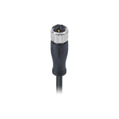 China Industrial Instrumentation M12 K Code Connector 5pin EMI-Protected Female Connector Molded With 0.5m PVC 16A Power Cable, Free End for sale