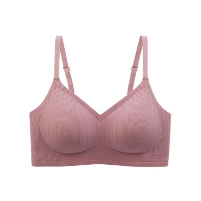 China Best Selling QUICK DRY Seamless Designed Underwear For Sexy Ladies Stylish Yoga Bra Padded Tops for sale