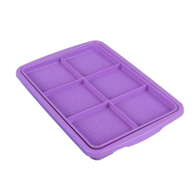 China Manufacturer Promotional Seedling With Plastic Germination Tray Not Easily Deformed Lid for sale