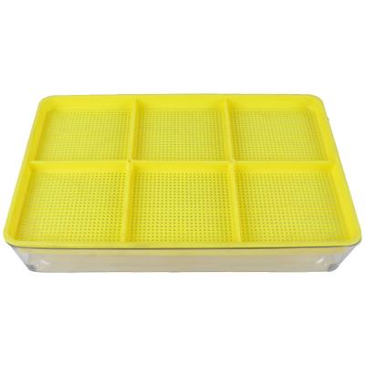 China Time-limited seedling not easily deformed Bean Sprout Transparent Water Tray Nursery Shed for sale