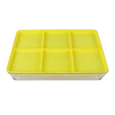 China Not easily deformed Seckill's Tray With Cover Trays Sprouting young plant for sale