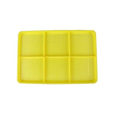 China 200 Hole Daily Special Styrofoam Sprout Stackable Not Easily Deformed Clear Tray for sale