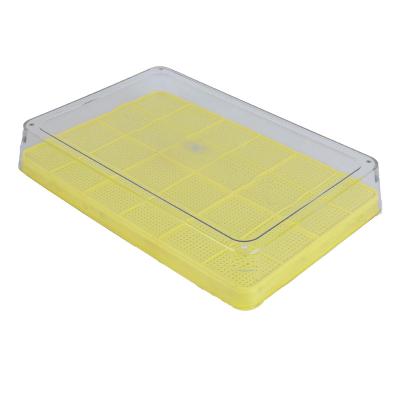 China Hard plastic tray not easily deformed professional production seedling germination germination tray for sale