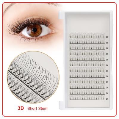 China Lash Extension Premade Black 2d 3d 4d 5d 6d 7d 10d Light Russian Volume Fans False Eyelash Extensions for sale