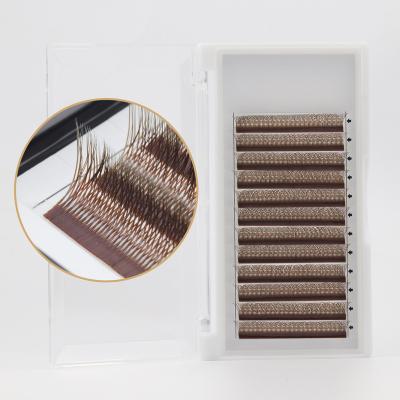 China Brown 3d W Shape Lightweight Eyelash Extensions Hand - Woven Soft Lightweight Natural Mink Eyelash Extension Premium Quality for sale