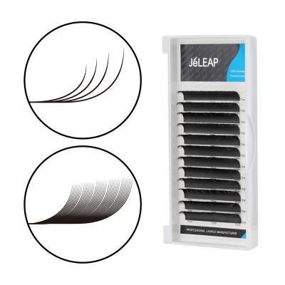 China Lightweight Self Adhesive Display Horse Hair Blooming Different 5d Eyelashes Lashes Extensions Private Label Premade Flat Volume Fans for sale