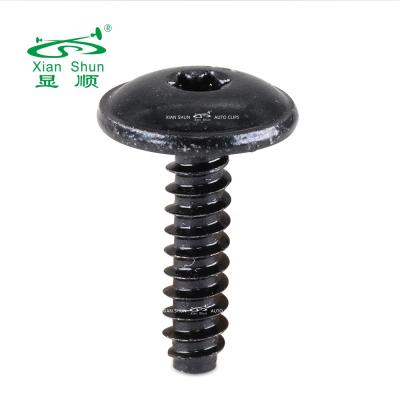 China Household Auto Car Body And Staple Metal Screw Trox Etc. Xianshun Truss Black Stainless Steel Coating For Auto Vehicle And Household for sale