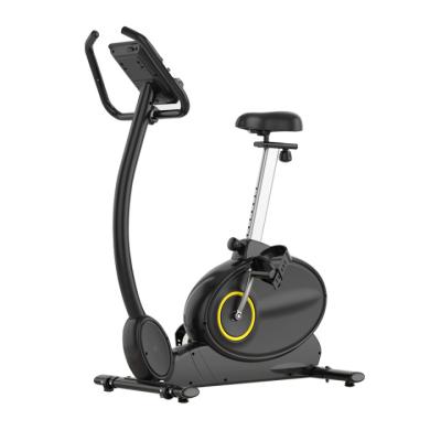 China Home Fitness Home Use Rideable Elliptical Custom Made Elliptical Treadle Bike New Model Elliptical Bike for sale