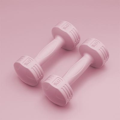 China Use at home 2021 factory price wholesale pink, red, blue, Gray Dumbbells Sale Fitness Dumbbell 10 kilograms for sale