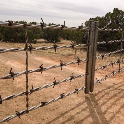 China Anti-Corrosion Cheap Roll Farm Barbed Wire Fence Anti-Corrosion Hot Selling Protective Fence With Low Price for sale