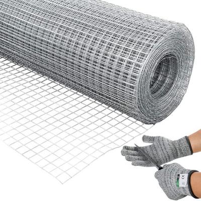 China Corrosion Resistance Electro Galvanized 5x5 Welded Wire Mesh Fence For Animal Control for sale