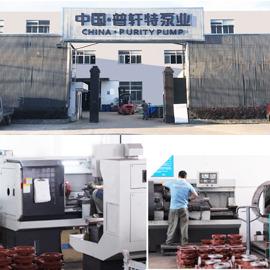 Verifizierter China-Lieferant - Purity Pump Co., Ltd.