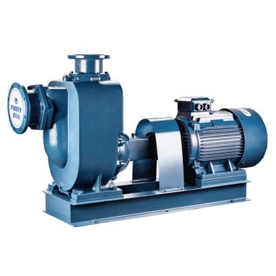 China Split Suction Self-priming Centrifugal Sewage Pump Te koop