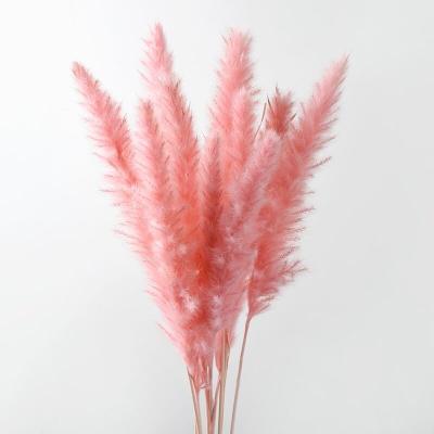 China Hot Selling Pampas Grass Artificial Luminous Pampas Grass Flowers Wedding Decoration Flowers Artificial Tubular Grass for sale