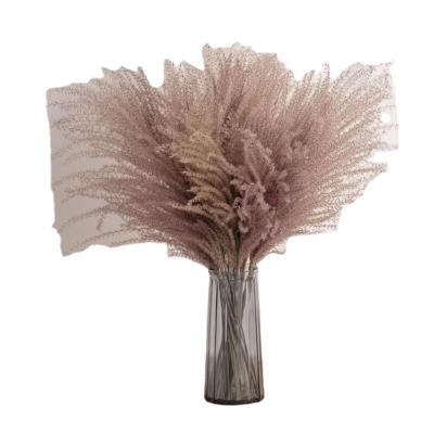 China Pampas Grass Pampas White Color Dried Small Big Large Natural Pampas Grass For Wedding Flower Arrangements Home Decor for sale