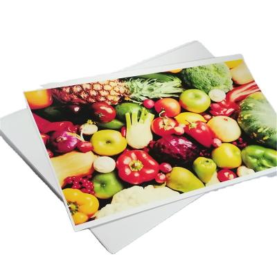 China Factory Direct Wholesale A4 Glossy Inkjet Photo Paper Eco - Friendly For Photo Album for sale