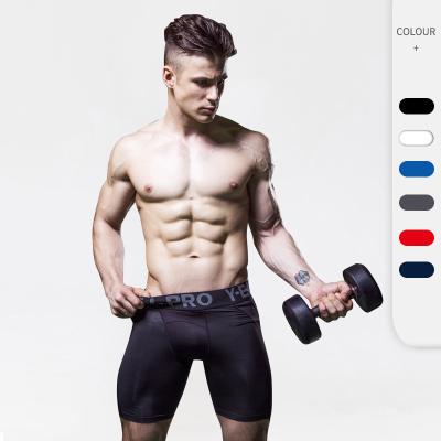 China Men Sports Breathable Fitness Long Pants PRO Elastic Running Sweat Quick Dry Tight Trousers for sale