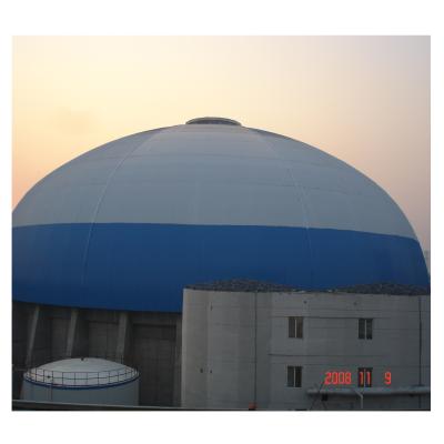 China Classic Design Steel Frame Structural Covering Prefab Lightweight Dome Coal Storage Shed For Power Plant Cement Plant for sale