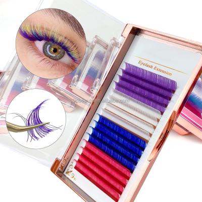 China Custom logo J/B/C/D 8-25mm private label color eye lash extensions wholesale 12 natural long rows for sale