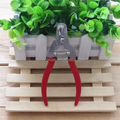 China Viable Wholesale Safe Stainless Steel Dog Cat Animal Puppy Poodle Toe Nail Claw Care Clippers Scissors for sale