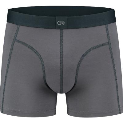 China Private Label Antibacterial Mens Briefs And Boxers Bamboo Underwear With Tags for sale