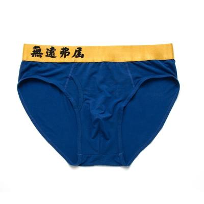 China 80S Micro Antibacterial Spandex Modal Mens Black Brief for sale