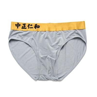 China Micro Antibacterial Spandex 80S Modal Mens Gray Brief for sale