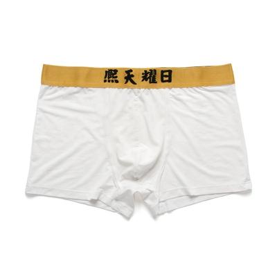 China Antibacterial Micro Modal Spandex 80S Mens Boxer Brief White for sale